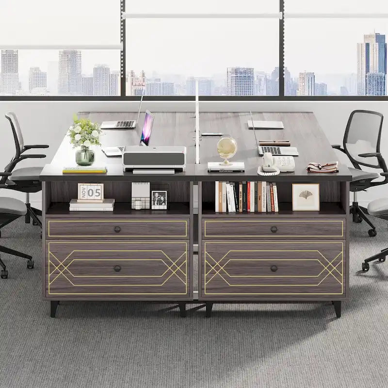 2-Drawer Lateral File Cabinet with Open Shelf